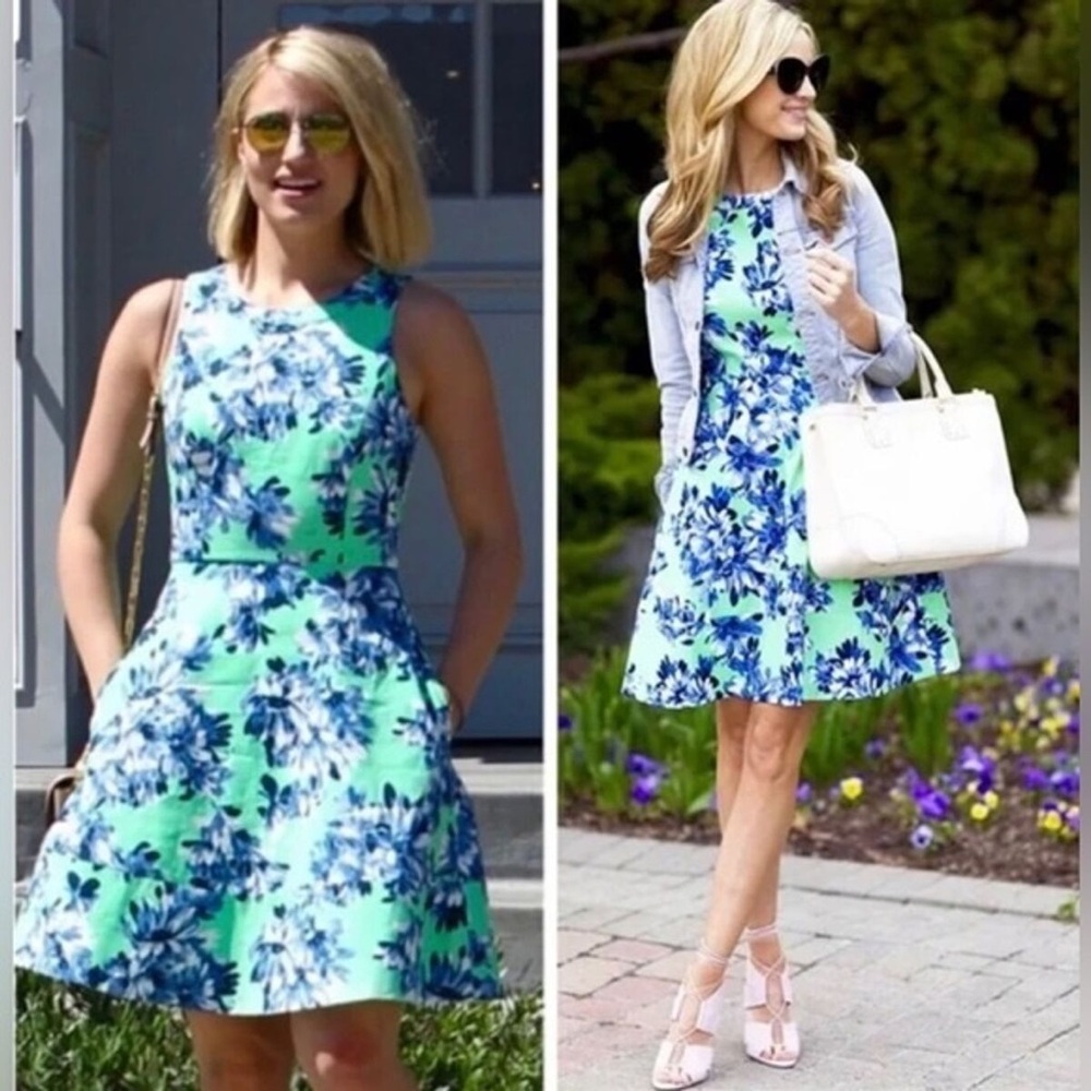 J. Crew Fit and Flare Printed Dress size 00